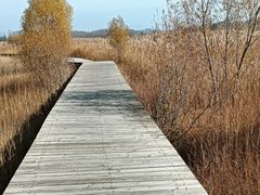 -野鸭湖国家湿地公园