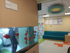 -杭州贝瑞斯美华妇儿医院·早孕·产检·儿科