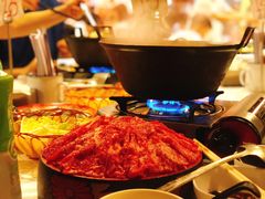 安格斯牛肉-鲜入围煮花胶鸡海鲜火锅