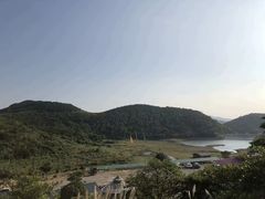 -大姆山草场