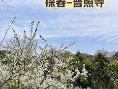 -都江堰普照寺
