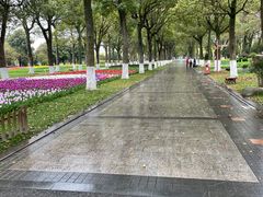 -上海鲜花港