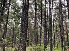 -北极村旅游风景区