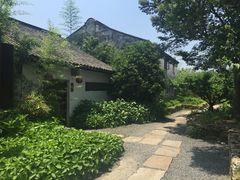 -田园东方蜜桃村的田野营地