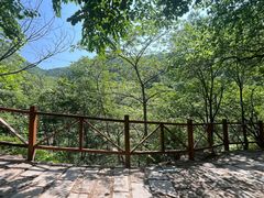 -大岭沟猕猴桃谷风景区