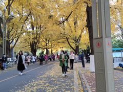 -四川大学(华西校区)