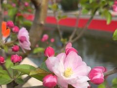 -元大都城垣遗址公园