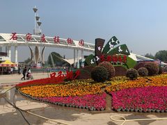 -石家庄市植物园