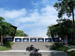 -广东惠东海龟国家级自然保护区
