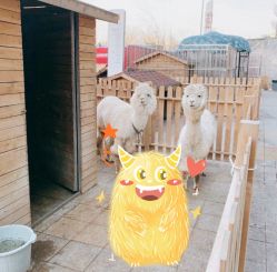 -萌宠亲子动物乐园(槐房万达店)