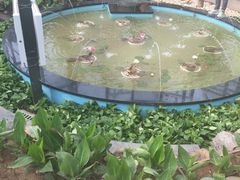 -武清南湖绿博园