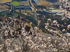 -北京凤凰岭