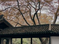 -惠山古镇·寄畅园