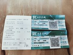 -SFC上影百联影城(大上海4DX店)