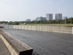 -春花秋色城市公园