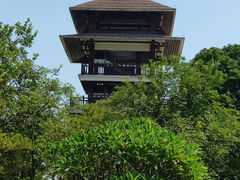 -大湾区中央湿地公园