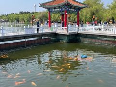 -长春市南湖公园