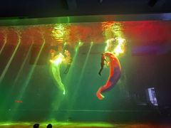 -芜湖新华联大白鲸海洋公园