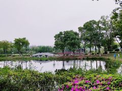 -金银湖国家城市湿地公园