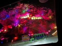 -花溪风景区