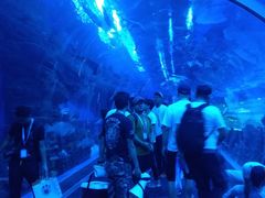 -成都浩海立方海洋公园