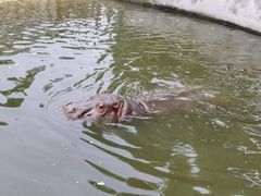 -保定市动物园