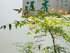 -绮园景区