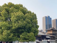 -香积寺