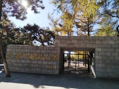 -长春市南湖公园