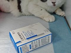 -半岛宠物医院24小时(科华中路店)