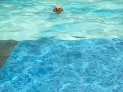 -汪说喵讲宠物乐园宠物酒店(红星美凯龙店)