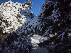 -蓟洲国际滑雪场