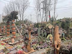 -三圣花乡旅游区
