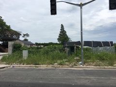 -南汇新场正宗水蜜桃采摘