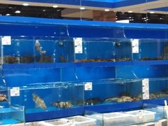 -果蔬好生活超市(乐堤港店)