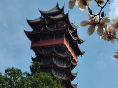 -塔子山公园