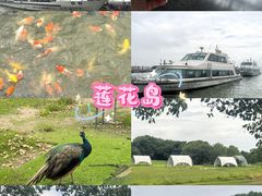 -阳澄湖半岛旅游度假区