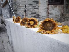 -三溪村