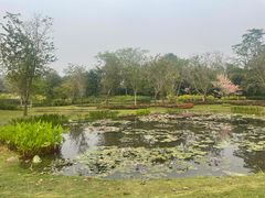 -中国科学院西双版纳热带植物园