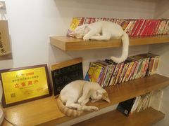 -正南齐北·老街糯米团(洪崖洞店)