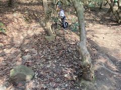 -宝界山林公园