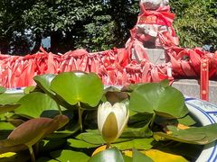 -终南山南五台景区