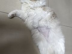 -酷宠动物医院(天通西苑店)