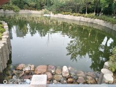 -绿岛公园(滨海新区)