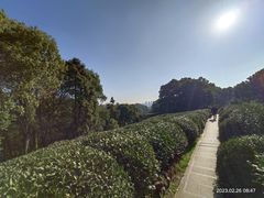 -西湖风景区十里琅珰-五云山