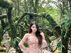 -洛阳白云山景区