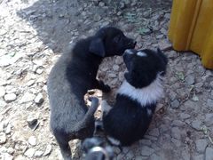 -南京金牛湖风景区