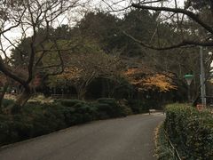 -汉拿树木园