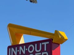 -In-N-Out Burger(LAX)