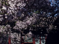 -恭王府博物馆